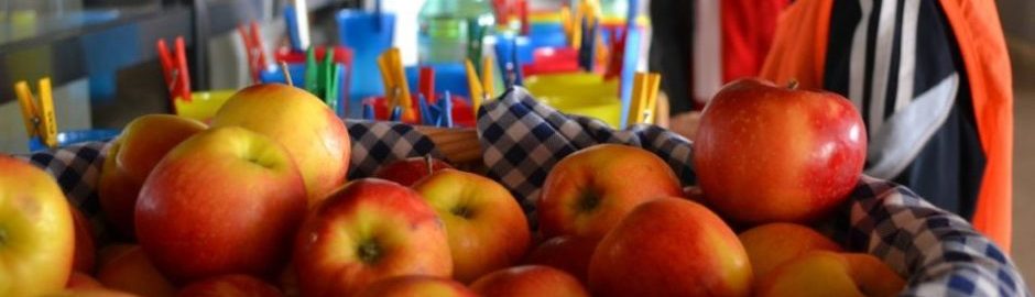 Bei der Frage Was ist Gesundheit spielt die Ernährung eine große Rolle. Äpfel sind gesund.