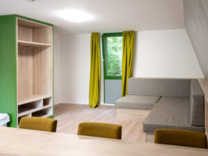 Aufenhaltsraum in einer Hütte in grün und grau gehalten unter Schrägdach